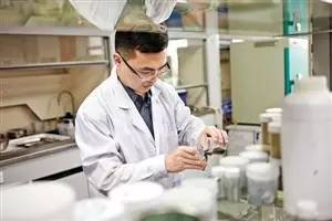 十年砥砺前行，深圳光明展翅腾飞 新材料技术研发铸就创新高地