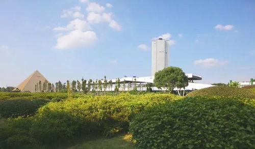 P8 2019艺术家驻留计划 自然、工业与科技的跨界对话